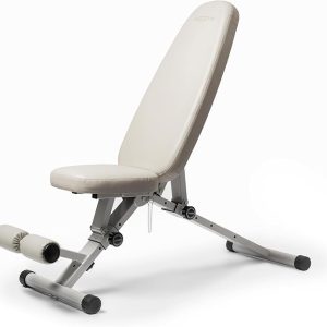 Fitness Bench, Adjustable, Collapsible, Comfortable, and Luxurious Home Gym Bench for Strength Training