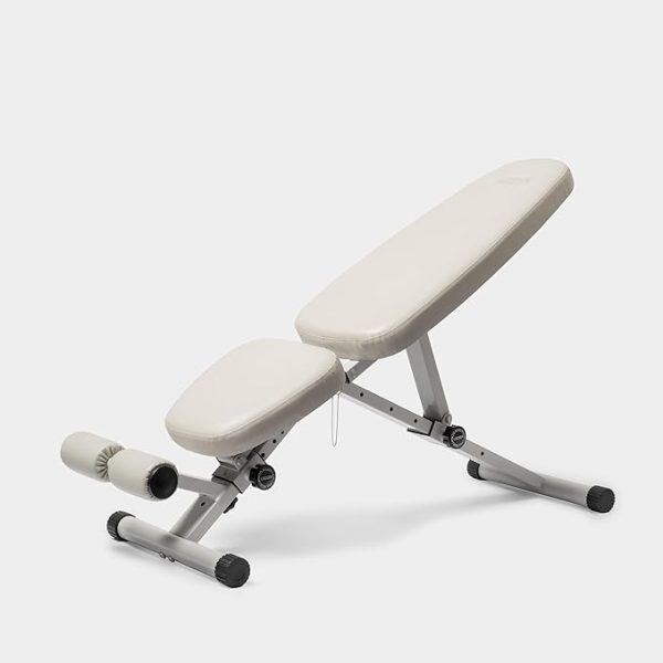 Fitness Bench, Adjustable, Collapsible, Comfortable, and Luxurious Home Gym Bench for Strength Training - Image 3